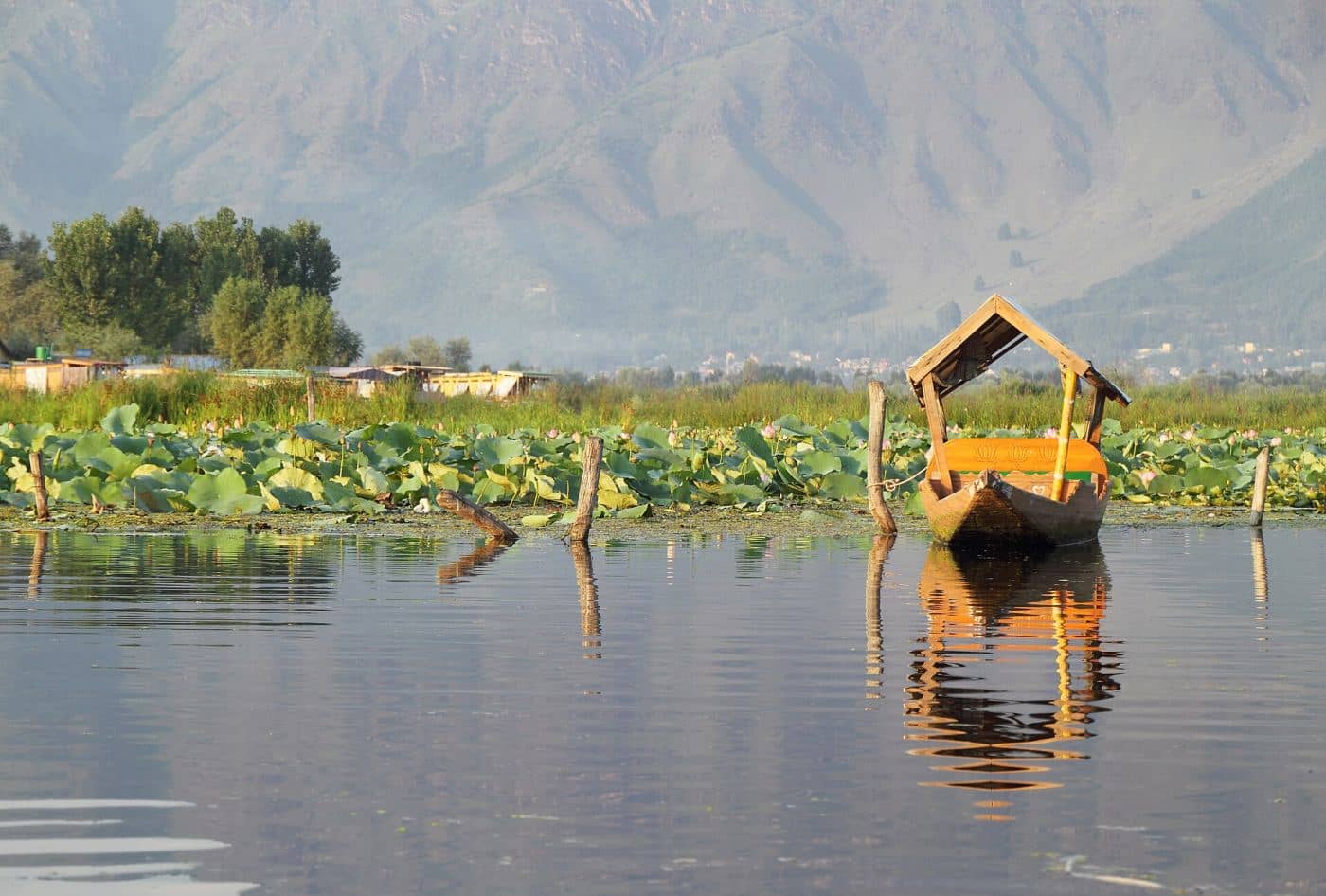 Kashmir Paradise